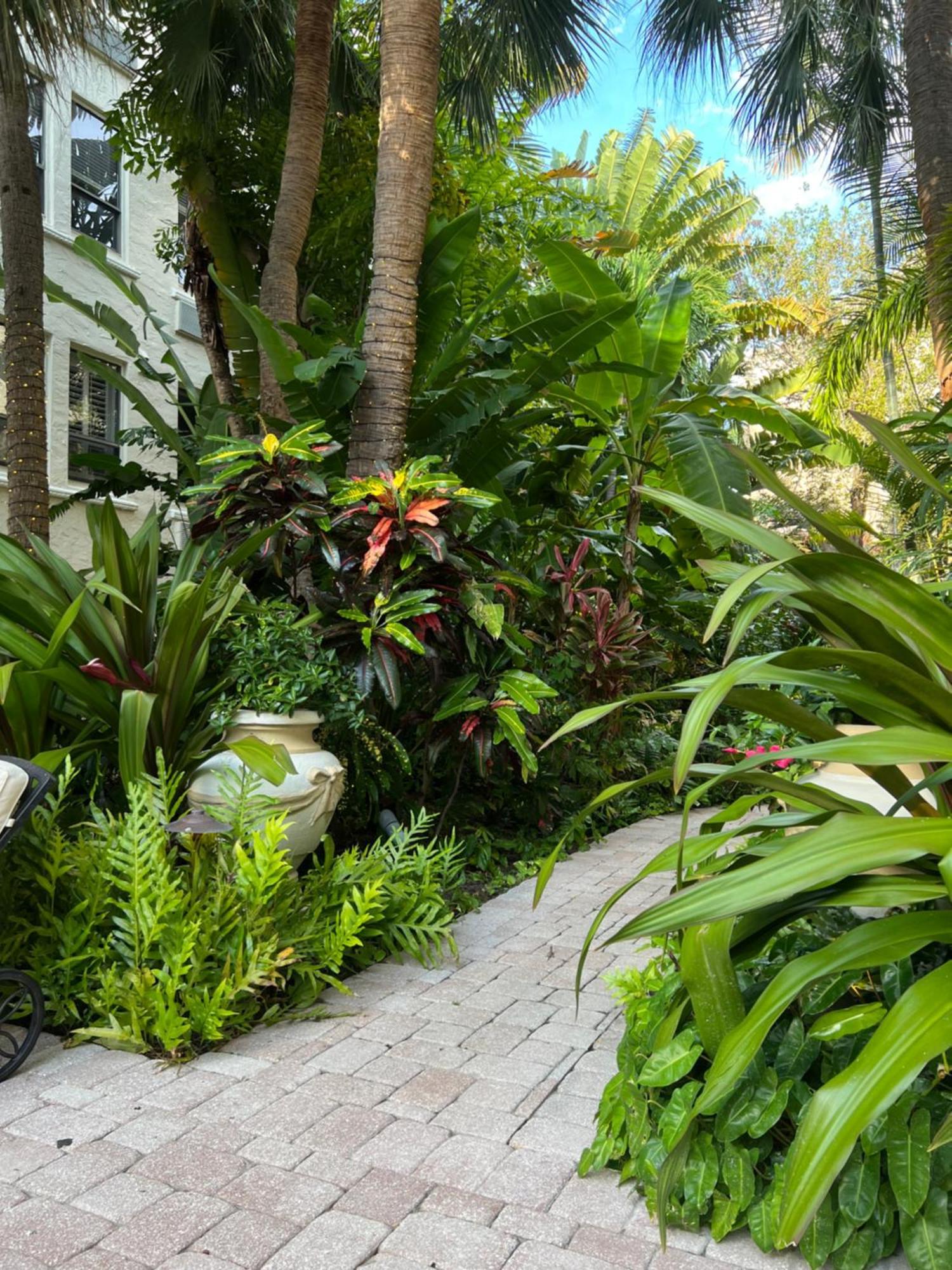 Orchid Suites - Historic Palm Beach Hotel Condominium Экстерьер фото