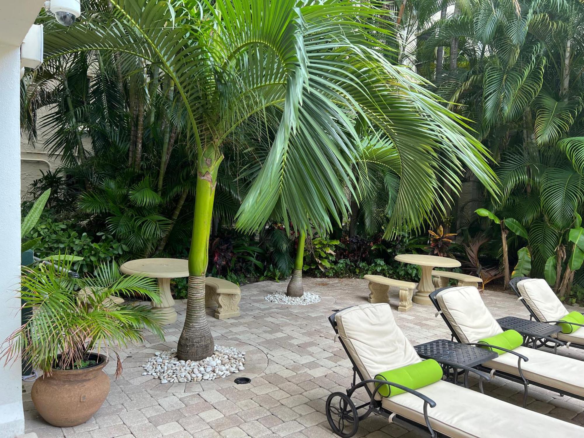 Orchid Suites - Historic Palm Beach Hotel Condominium Экстерьер фото