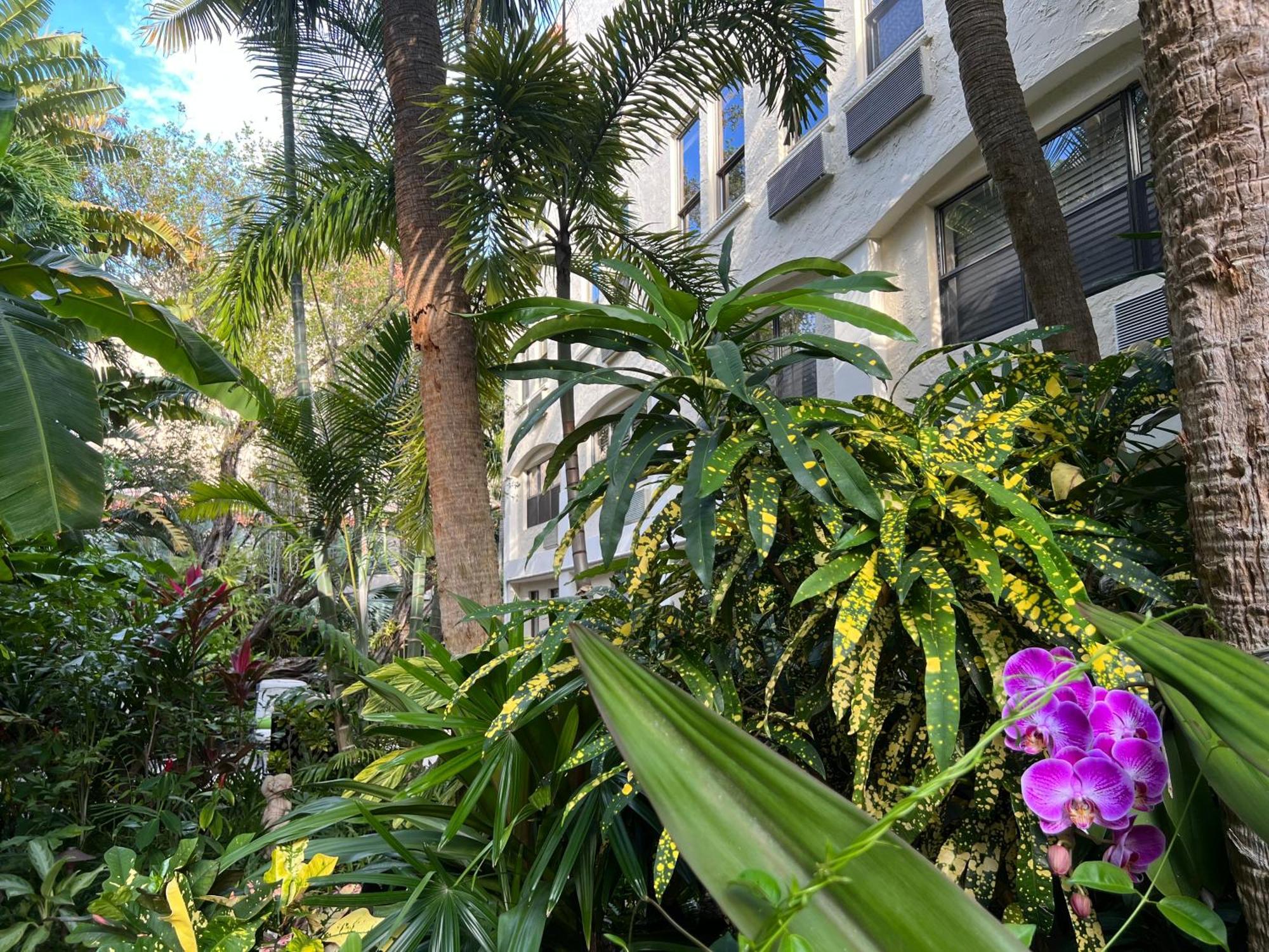Orchid Suites - Historic Palm Beach Hotel Condominium Экстерьер фото